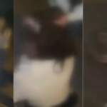 Adana’da genç kızların ‘erkek arkadaş’ kavgası kamerada: Yerden yere vurup darp ettiler!