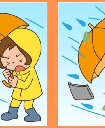 Sadece yüksek IQ’lular 12 saniyede çözüyor! İki resim arasındaki 3 gizli farkı bu sürede bulabilir misiniz?