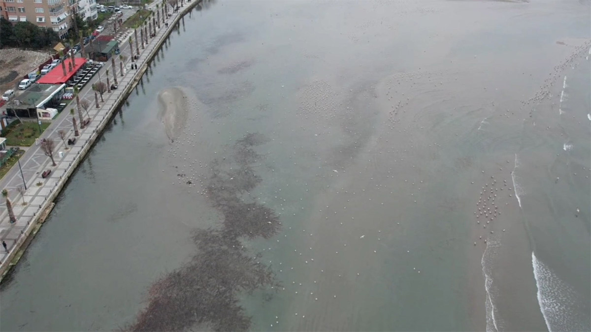 Silivri ve Avcılar sahillerinde deniz çekildi: Kum adacıkları ortaya çıktı