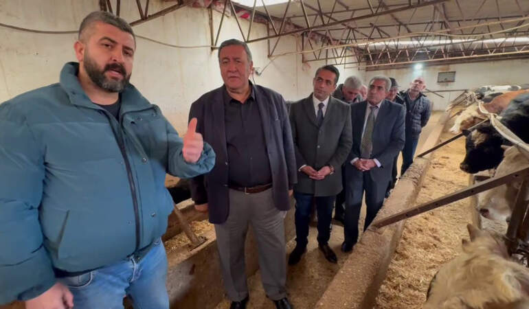 Ahırlar boşaldı, üretici isyan etti: “1 litre sütle 2 kilo yem bile alamıyoruz, 10 yıl sonra peyniri kim üretecek?”