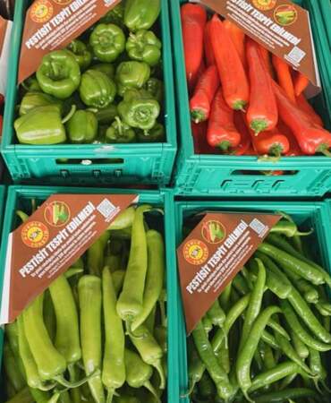 ŞOK Marketler gıda güvenliği halkasını genişletiyor: Domatesin ardından biberde de pestisit analizi dönemi