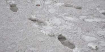 “Dünyada kar bir tek o ilimizde ‘siyah’ yağıyor”: Milletvekili o görüntüleri paylaştı