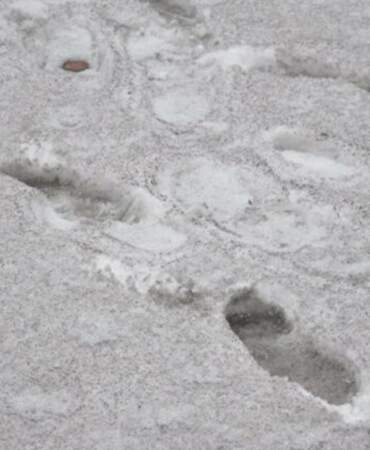 “Dünyada kar bir tek o ilimizde ‘siyah’ yağıyor”: Milletvekili o görüntüleri paylaştı