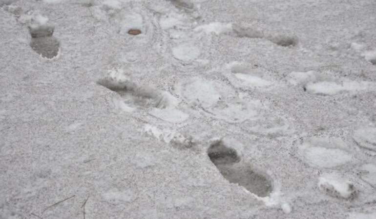 “Dünyada kar bir tek o ilimizde ‘siyah’ yağıyor”: Milletvekili o görüntüleri paylaştı