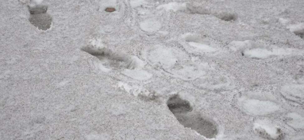 “Dünyada kar bir tek o ilimizde ‘siyah’ yağıyor”: Milletvekili o görüntüleri paylaştı