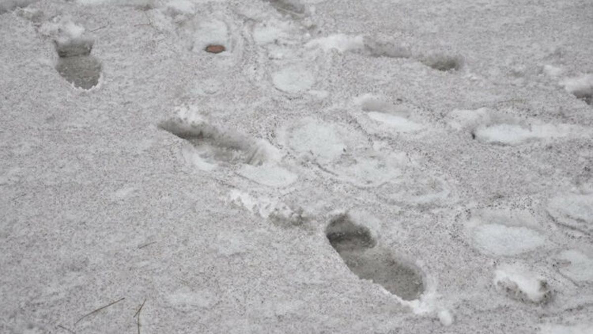 “Dünyada kar bir tek o ilimizde ‘siyah’ yağıyor”: Milletvekili o görüntüleri paylaştı