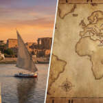 Kediler ne zaman ve nasıl evcilleşti? İlk evcil kedi nerede bulundu? Kuzey Afrika gerçeği ortaya çıktı!