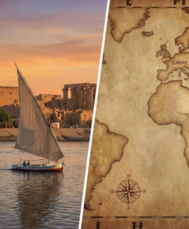 Kediler ne zaman ve nasıl evcilleşti? İlk evcil kedi nerede bulundu? Kuzey Afrika gerçeği ortaya çıktı!