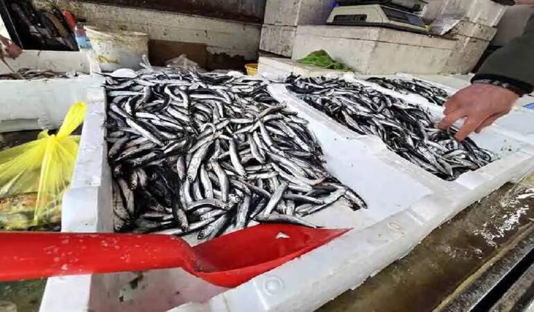 Tezgahlara geldi, herkesi mutlu etti! 200 TL’den satılıyor, kapış kapış gidiyor