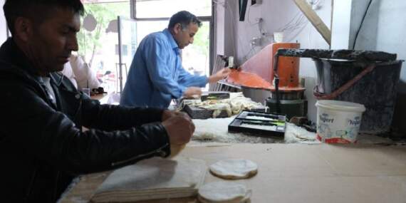 Norveç’ten Erzincan’a: Yüzyıllık tulum peyniri geleneği modern derilerle buluşuyor