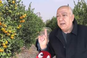 Akıl alır gibi değil: 1 ton satıp ancak 1 kilo kıyma alabiliyor! Çiftçi yaşadıklarına isyan etti