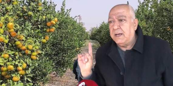 Akıl alır gibi değil: 1 ton satıp ancak 1 kilo kıyma alabiliyor! Çiftçi yaşadıklarına isyan etti