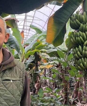 Yaz kış üretim yapıyorlar, tüm dünyaya ihraç ediyorlar! İhtiyacın yüzde 40’ı bu ilimizde karşılanıyor