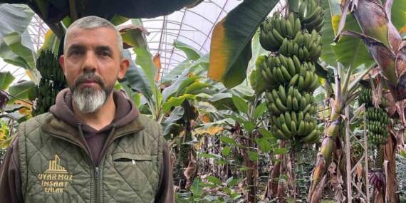 Yaz kış üretim yapıyorlar, tüm dünyaya ihraç ediyorlar! İhtiyacın yüzde 40’ı bu ilimizde karşılanıyor