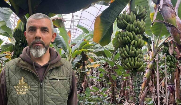Yaz kış üretim yapıyorlar, tüm dünyaya ihraç ediyorlar! İhtiyacın yüzde 40’ı bu ilimizde karşılanıyor