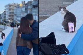 Fotoğraf çekimine “Pati” yardımı: Kediyi tripod yapıp fotoğraf çektiler!