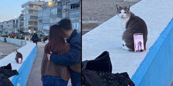 Fotoğraf çekimine “Pati” yardımı: Kediyi tripod yapıp fotoğraf çektiler!