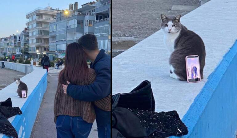 Fotoğraf çekimine “Pati” yardımı: Kediyi tripod yapıp fotoğraf çektiler!