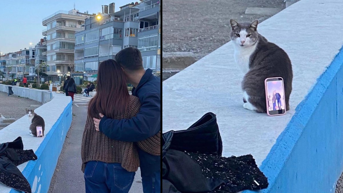 Fotoğraf çekimine “Pati” yardımı: Kediyi tripod yapıp fotoğraf çektiler!