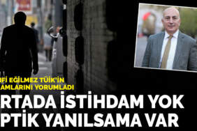 Mahfi Eğilmez TÜİK’in rakamlarını yorumladı: Ortada istihdam yok optik yanılsama var