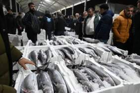 Herkes bekliyordu sonunda geldi! Tezgahların gözdesi oldu: Kilosu 700 TL’den satılıyor