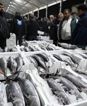 Herkes bekliyordu sonunda geldi! Tezgahların gözdesi oldu: Kilosu 700 TL’den satılıyor