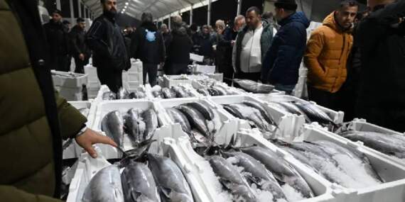 Herkes bekliyordu sonunda geldi! Tezgahların gözdesi oldu: Kilosu 700 TL’den satılıyor