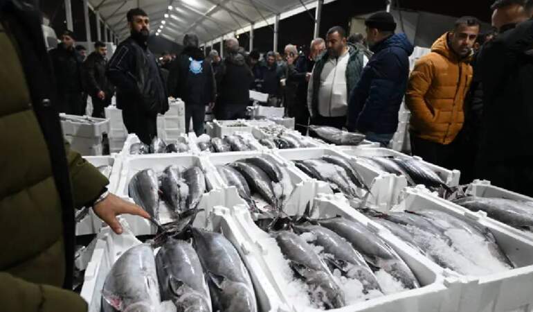 Herkes bekliyordu sonunda geldi! Tezgahların gözdesi oldu: Kilosu 700 TL’den satılıyor