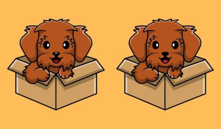Farkı bulun: Bu neşeli köpek resminde 20 saniyeden kısa sürede 3 farkı bulabilir misiniz?
