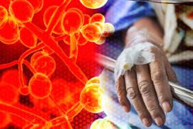 60 Ülkede Hızla Yayılan Ölümcül Virüs Paniği! İlaçlar Bile Çare Olmuyor