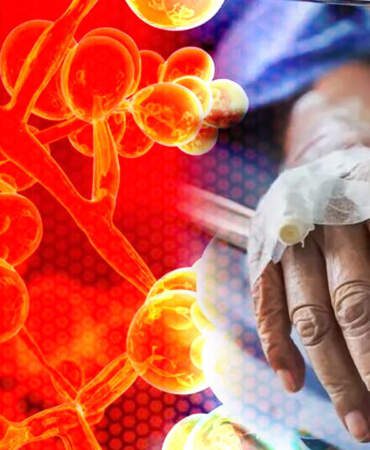 60 Ülkede Hızla Yayılan Ölümcül Virüs Paniği! İlaçlar Bile Çare Olmuyor