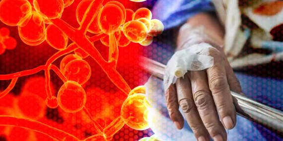 60 Ülkede Hızla Yayılan Ölümcül Virüs Paniği! İlaçlar Bile Çare Olmuyor