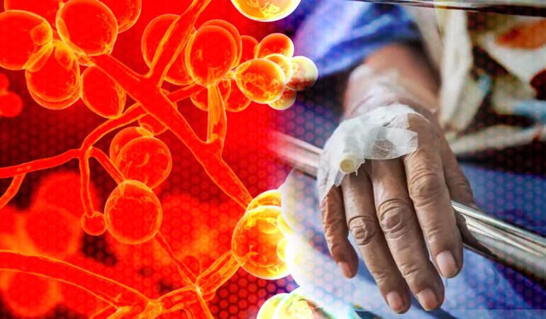 60 Ülkede Hızla Yayılan Ölümcül Virüs Paniği! İlaçlar Bile Çare Olmuyor