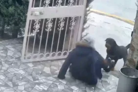 Ankara’da Sahipsiz Köpek Saldırısı