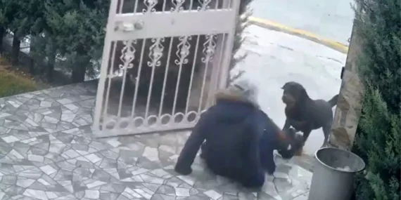 Ankara’da Sahipsiz Köpek Saldırısı