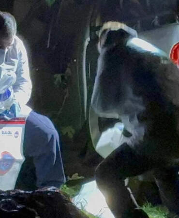 Yanmış Araçtan Ceset Çıkmıştı! 1 Şüpheli Tutuklandı