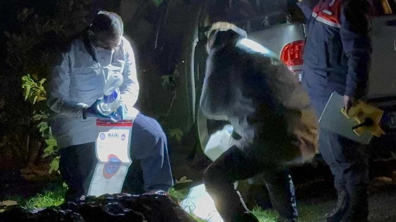 Yanmış Araçtan Ceset Çıkmıştı! 1 Şüpheli Tutuklandı