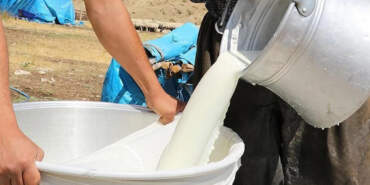 Çiğ Sütte Yeni Rakam Belli Oldu