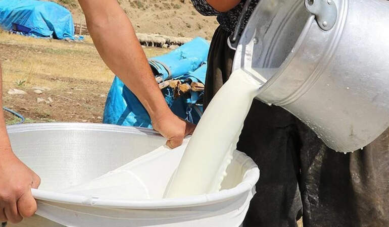 Çiğ Sütte Yeni Rakam Belli Oldu