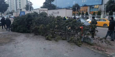 İstanbul’da Korku Dolu Anlar! Ağaç Devrildi, 1 Kişi Altında Kaldı