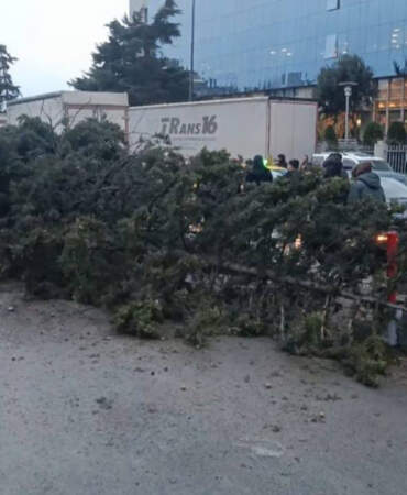 İstanbul’da Korku Dolu Anlar! Ağaç Devrildi, 1 Kişi Altında Kaldı