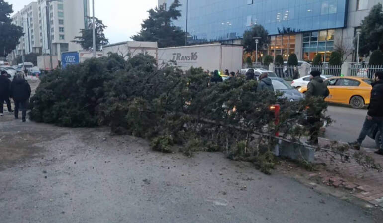 İstanbul’da Korku Dolu Anlar! Ağaç Devrildi, 1 Kişi Altında Kaldı