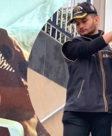 Katil Torunu Çıktı: İstanbul’da Miras Cinayeti