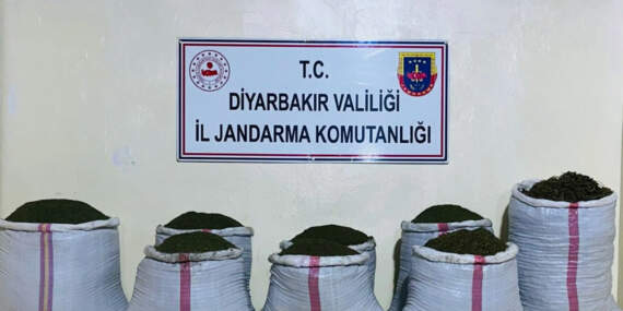 Torbacılara Geçit Yok! Diyarbakır ve Manisa’da Düğmeye Basıldı: 400’ü Aşkın Gözaltı Var
