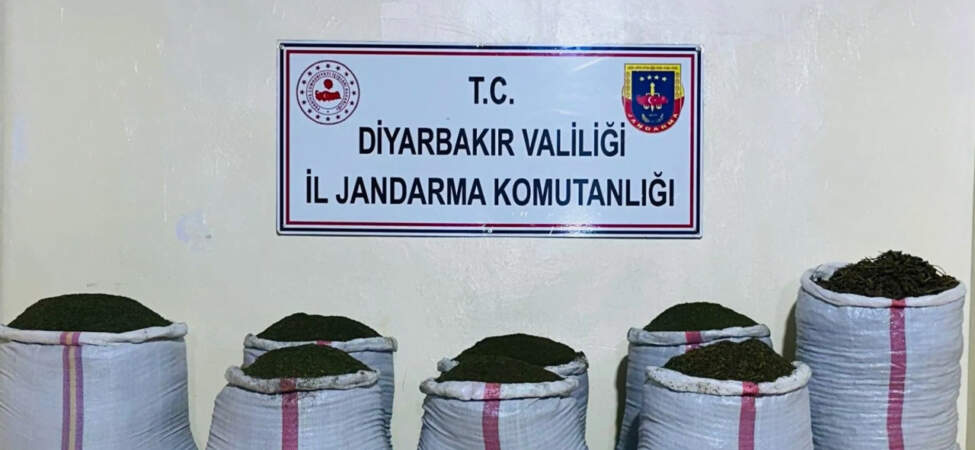 Torbacılara Geçit Yok! Diyarbakır ve Manisa’da Düğmeye Basıldı: 400’ü Aşkın Gözaltı Var