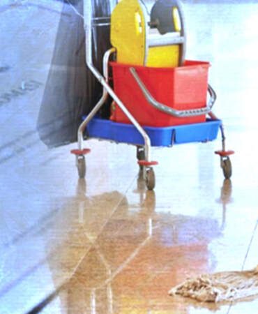 Üniversitede Skandal İddia: Sahte Diplomayla Hademelikten Koordinatörlüğe Uzanan Yol