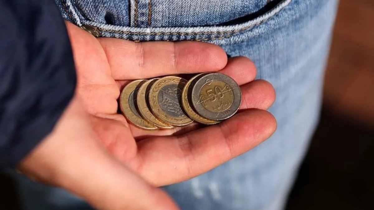 BİSAM Ocak ayı verilerini paylaştı: Açlık sınırı 31 bin 296, yoksulluk sınırı 102 bin 812 lira