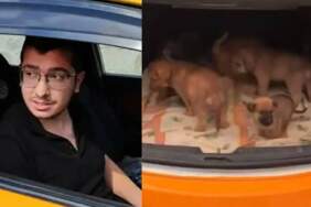 Sahiplendiği köpeklere cinsel istismarda bulunup öldüren doktorun cezasında indirim