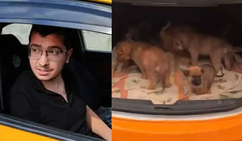 Sahiplendiği köpeklere cinsel istismarda bulunup öldüren doktorun cezasında indirim
