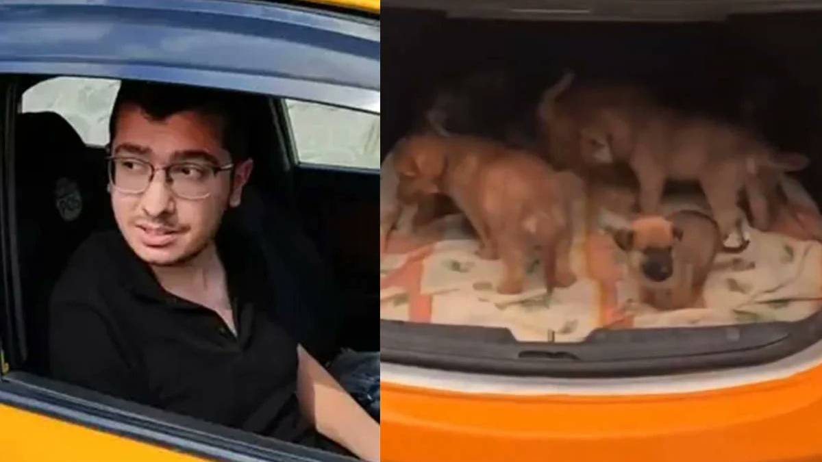 Sahiplendiği köpeklere cinsel istismarda bulunup öldüren doktorun cezasında indirim